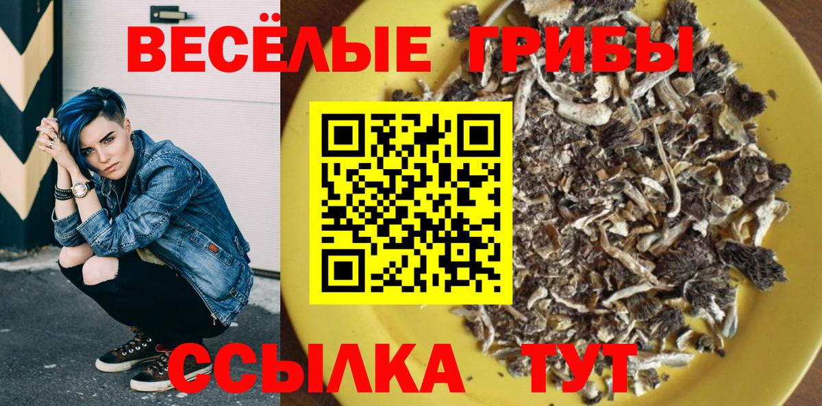 Тара  Галлюциногенные грибы мицелий  Вход с VPN 