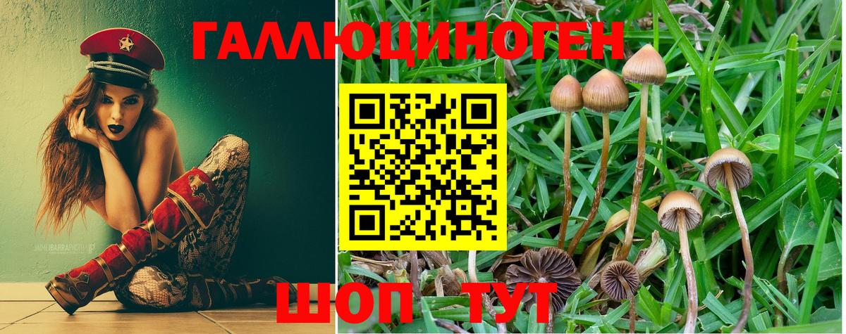 Псилоцибиновые грибы прущие грибы Тара